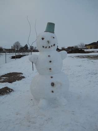 Snowman made this year ;D solution