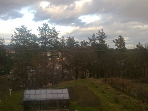 Natural envirovment from my window :) entry