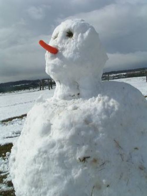snowman with big nose entry